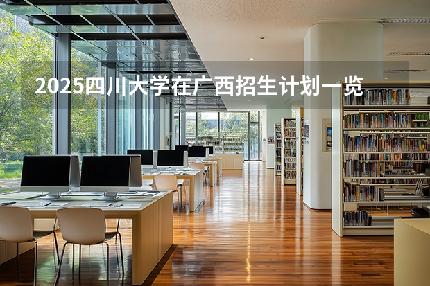 2025四川大学在广西招生计划一览表