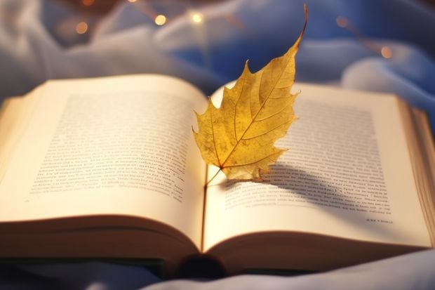 北京工业大学耿丹学院有哪些专业？在山东专业录取分数线是多少