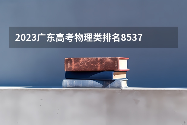 2023广东高考物理类排名8537的考生可以报什么大学 历年录取分数线