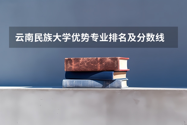 云南民族大学优势专业排名及分数线