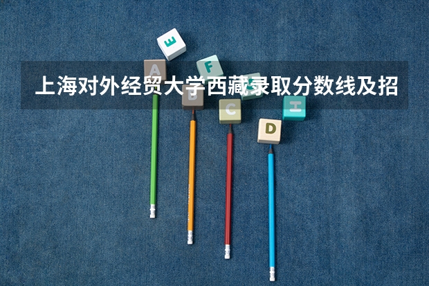 上海对外经贸大学西藏录取分数线及招生人数是多少