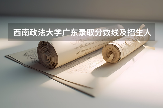 西南政法大学广东录取分数线及招生人数是多少