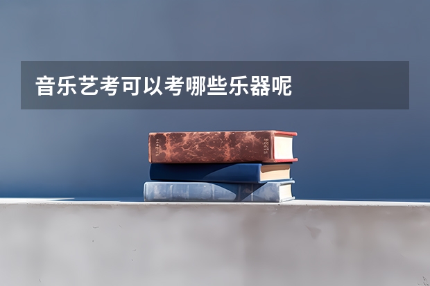 音乐艺考可以考哪些乐器呢