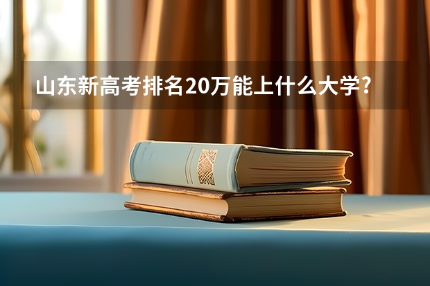 山东新高考排名20万能上什么大学?