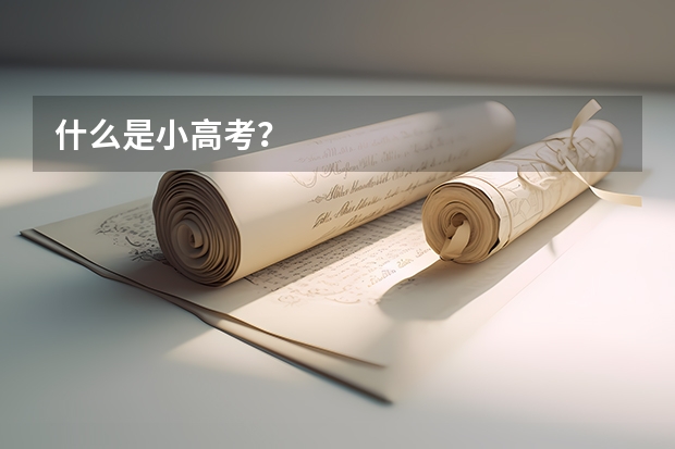 什么是小高考？