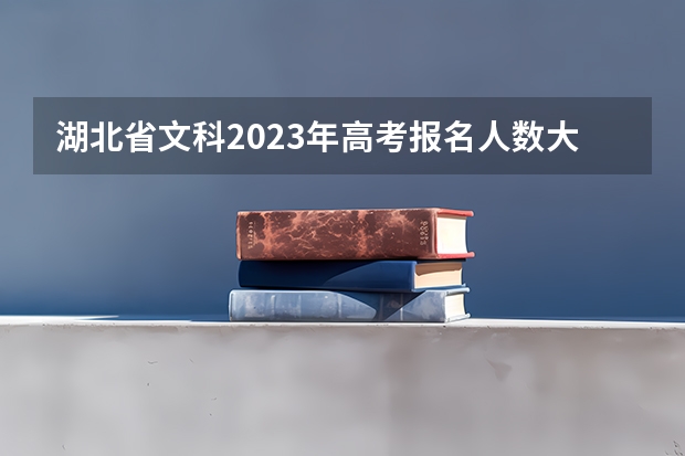 湖北省文科2023年高考报名人数大概是多少？