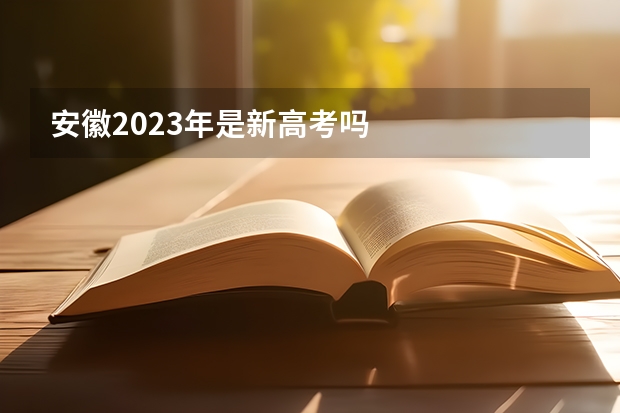安徽2023年是新高考吗