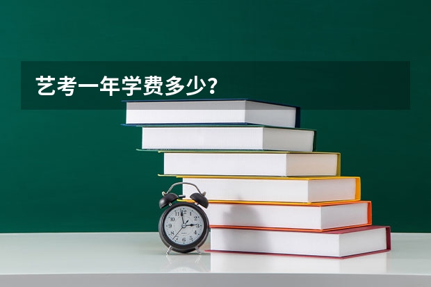 艺考一年学费多少？