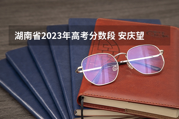 湖南省2023年高考分数段 安庆望江赛口中学高考成绩