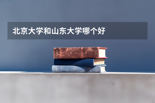 北京大学和山东大学哪个好