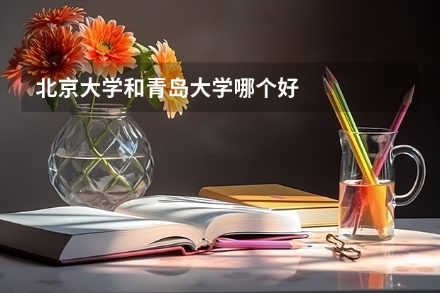 北京大学和青岛大学哪个好