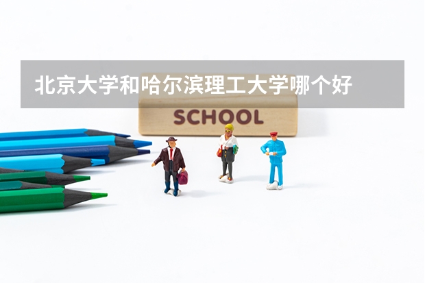 北京大学和哈尔滨理工大学哪个好