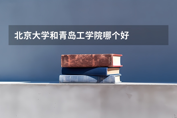 北京大学和青岛工学院哪个好