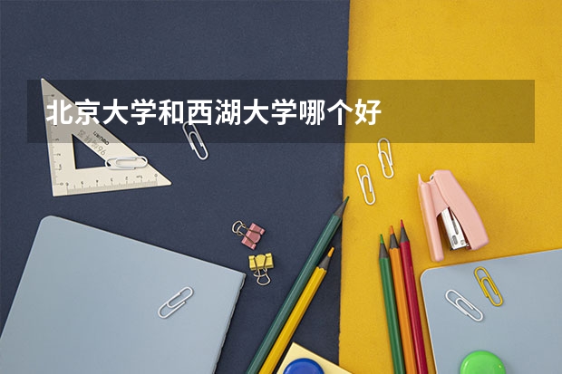 北京大学和西湖大学哪个好