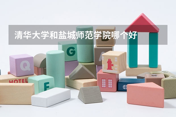 清华大学和盐城师范学院哪个好
