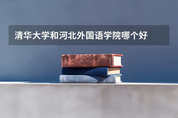 清华大学和河北外国语学院哪个好