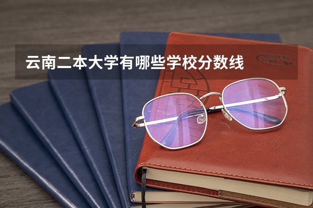 云南二本大学有哪些学校分数线