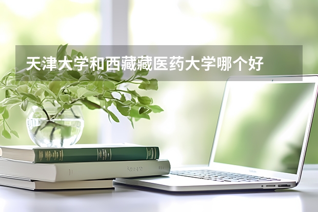 天津大学和西藏藏医药大学哪个好