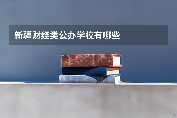 新疆财经类公办学校有哪些