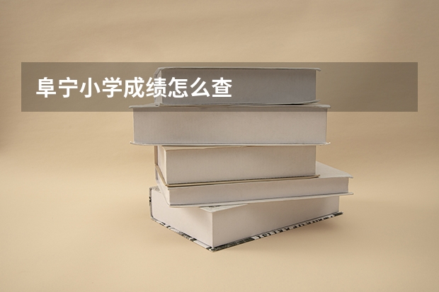 阜宁小学成绩怎么查