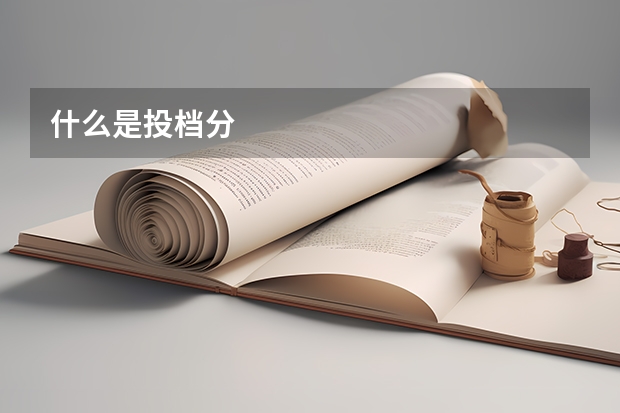 什么是投档分