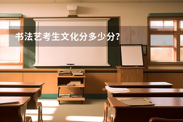 书法艺考生文化分多少分？
