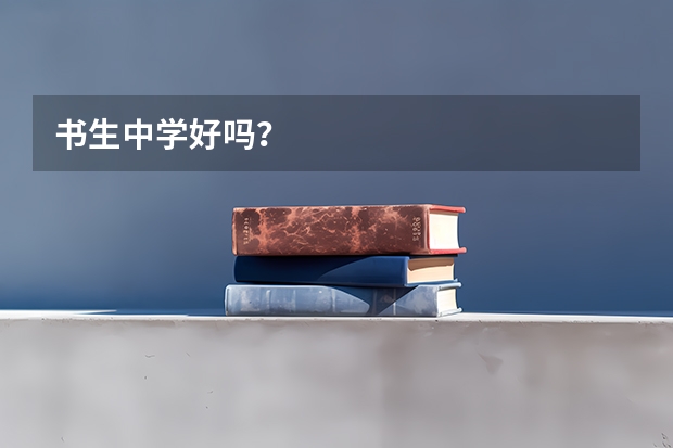 书生中学好吗？