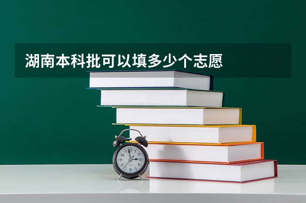 湖南本科批可以填多少个志愿