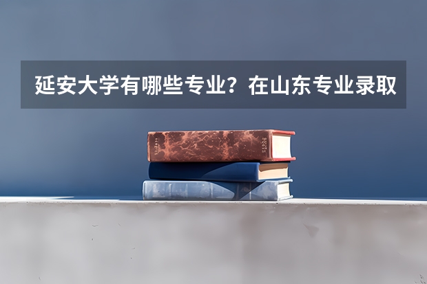 延安大学有哪些专业？在山东专业录取分数线是多少