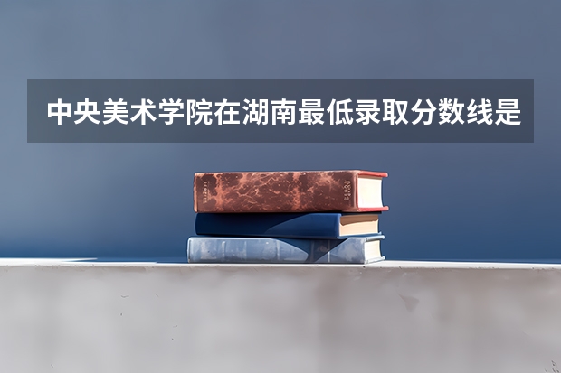 中央美术学院在湖南最低录取分数线是多少