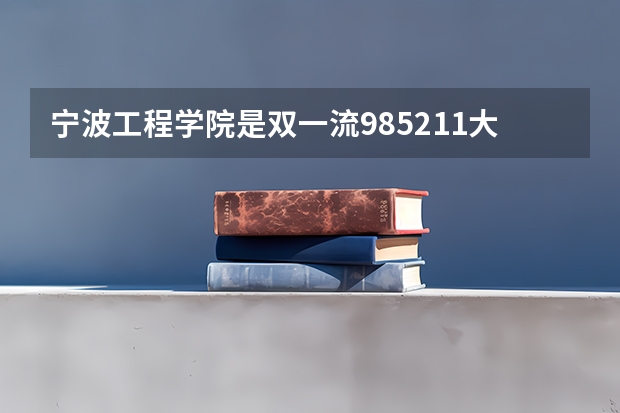 宁波工程学院是双一流/985/211大学吗?历年分数线是多少