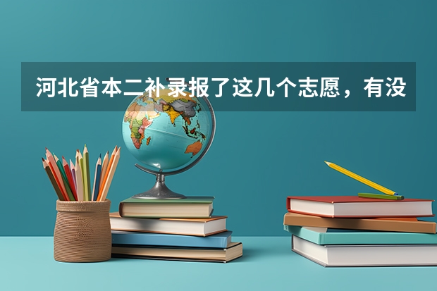 河北省本二补录报了这几个志愿，有没有可能录取呢？