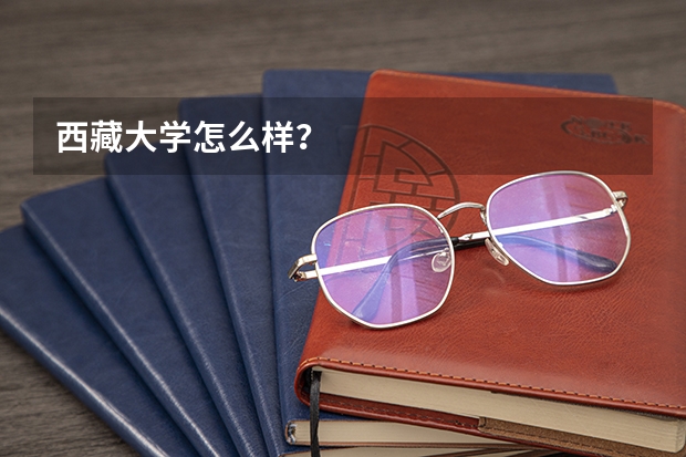 西藏大学怎么样？