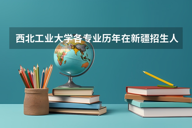 西北工业大学各专业历年在新疆招生人数是多少