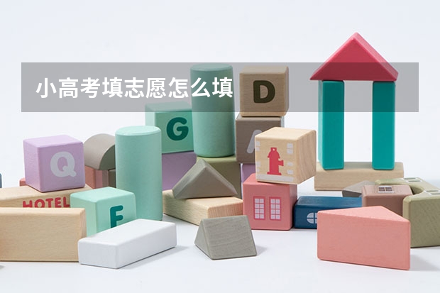 小高考填志愿怎么填
