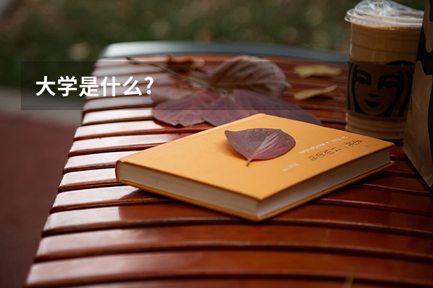 大学是什么?