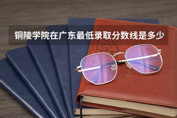 铜陵学院在广东最低录取分数线是多少