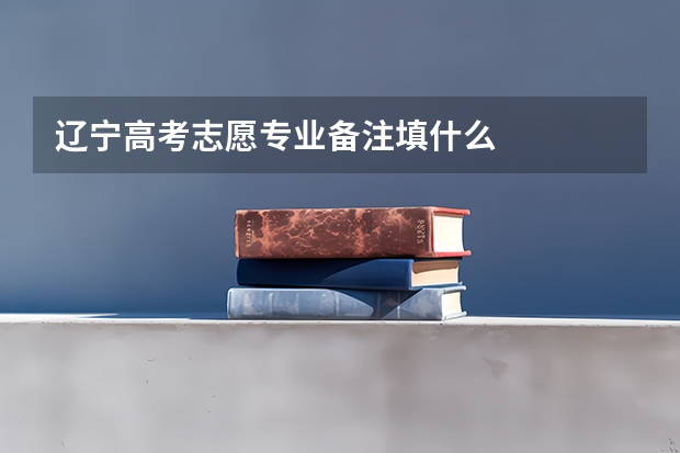 辽宁高考志愿专业备注填什么