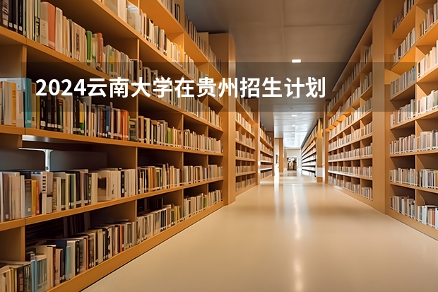 2024云南大学在贵州招生计划
