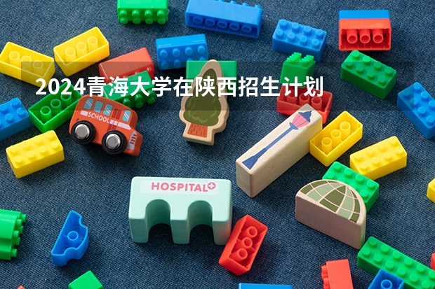 2024青海大学在陕西招生计划