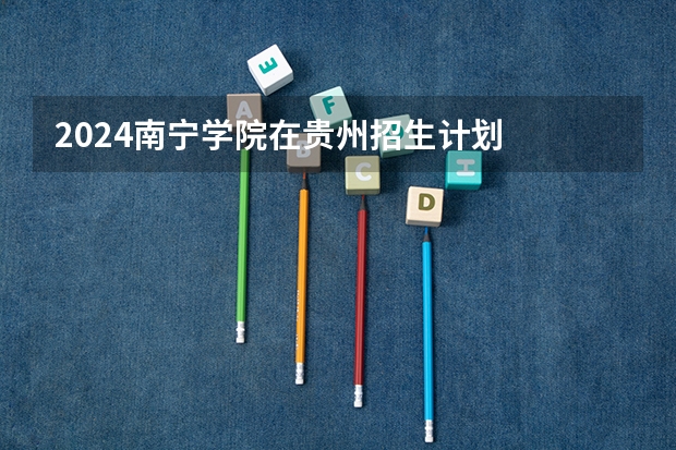 2024南宁学院在贵州招生计划
