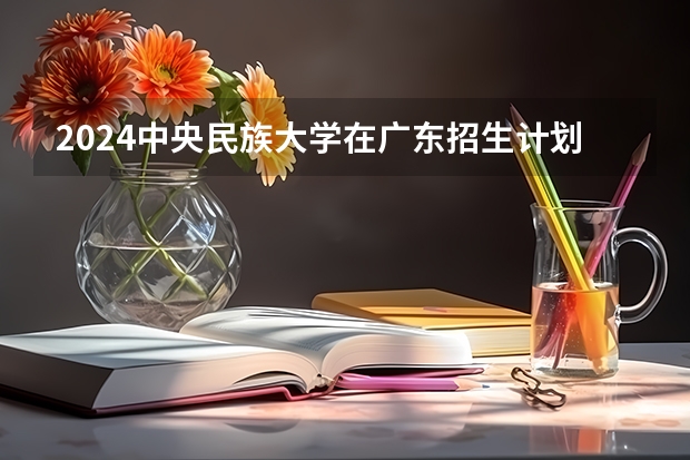 2024中央民族大学在广东招生计划