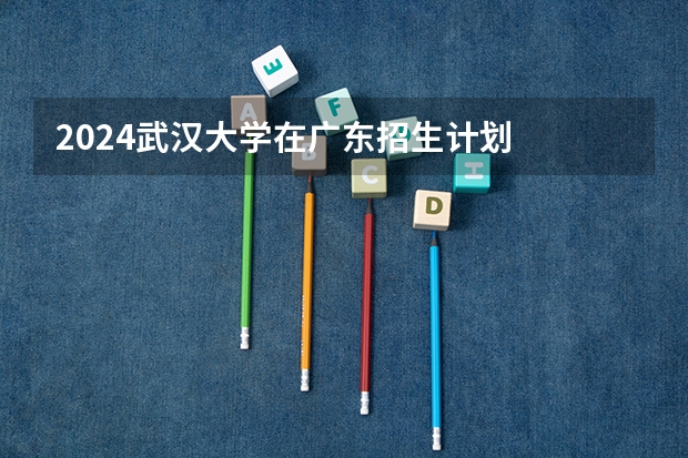 2024武汉大学在广东招生计划
