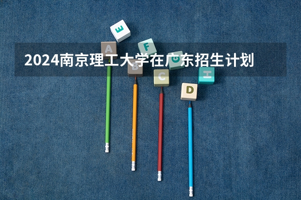 2024南京理工大学在广东招生计划