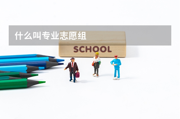 什么叫专业志愿组