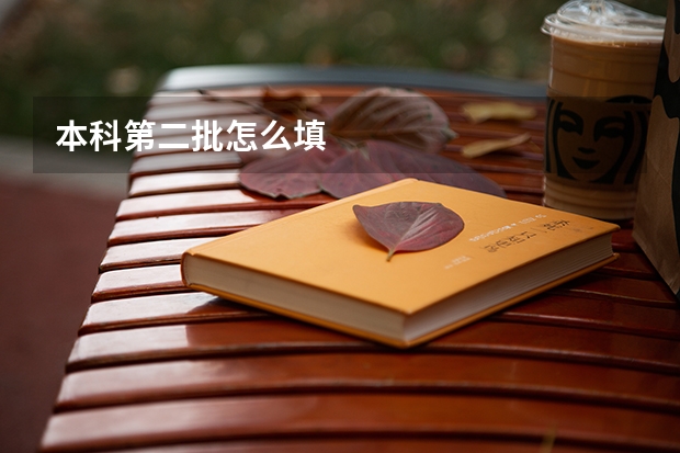 本科第二批怎么填