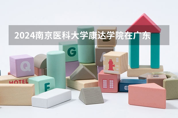 2024南京医科大学康达学院在广东招生计划