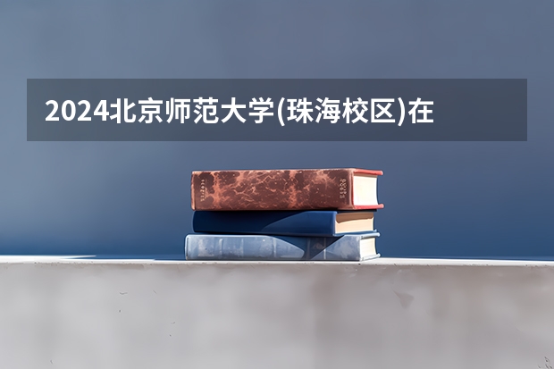 2024北京师范大学(珠海校区)在广东招生计划