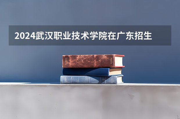 2024武汉职业技术学院在广东招生计划