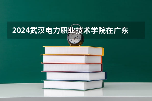 2024武汉电力职业技术学院在广东招生计划